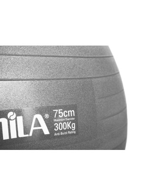 Amila Gymball 75cm Γκρι Bulk  Μπάλα Γυμναστικής
