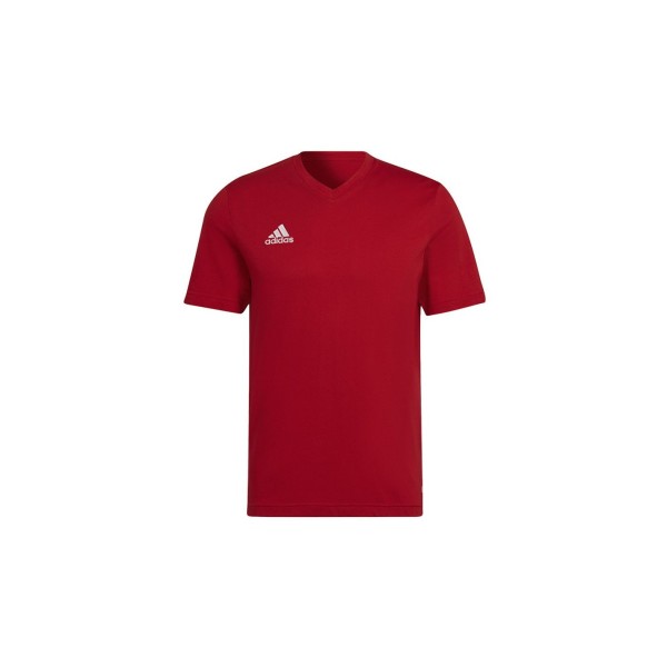 adidas Ent22 Tee Ανδρικά T-Shirt