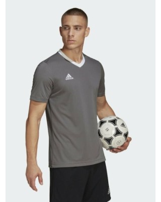 adidas Ent22 Jsy Ανδρικά T-Shirt Γκρι