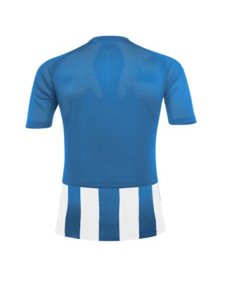 Acerbis Johan Striped S/S Jersey Ανδρικό T-Shirt Ρoyal Bianco Acerbis Johan Striped S/S Jersey Ανδρικό T-Shirt Ρoyal Bianco