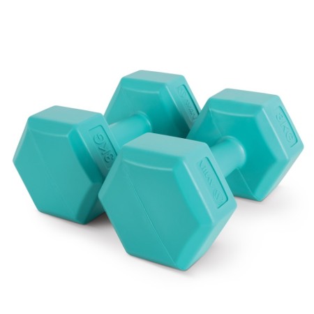 Amila Αλτήρας Εξάγωνος Plastic Series 3,00Kg (Ζευγάρι) Amila Αλτήρας Εξάγωνος Plastic Series 3,00Kg (Ζευγάρι)